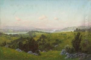 A Blooming Hillside With A River In The Distance