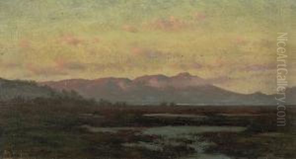 A Marsh At Sunset With Mount Tamalpais In The Distance - view 1