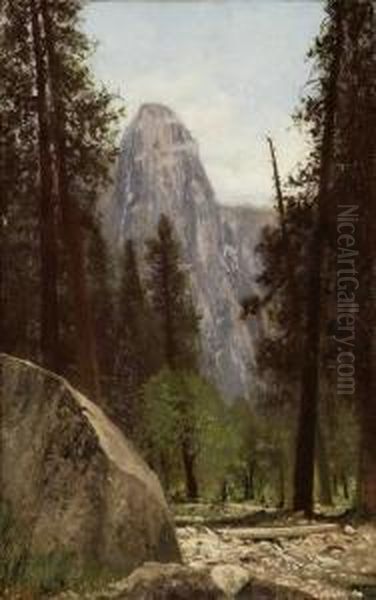 Yosemite Valley Landscape - view 1
