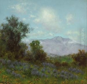 Mt. Tamalpais by Charles Robinson