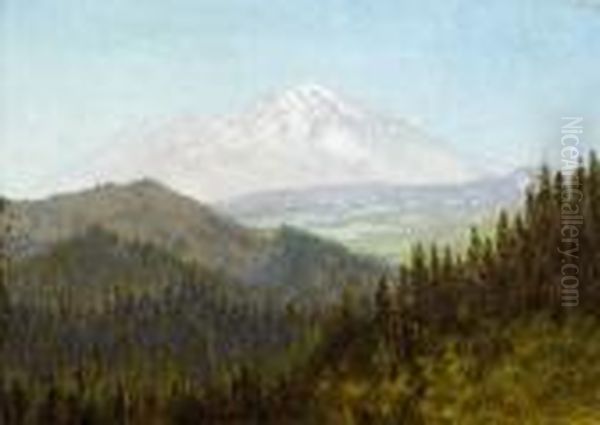 Mt. Shasta - view 1