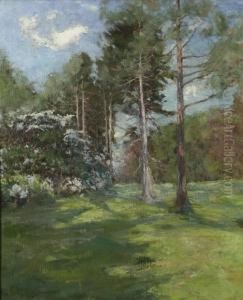 Spring Landscape by Hal Robinson