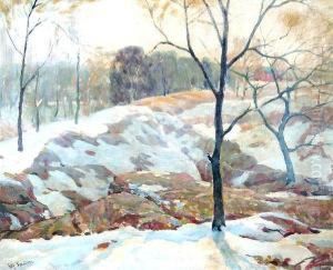 Snowy Landscape