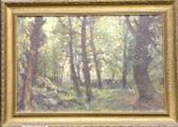 Forest Interior - view 1