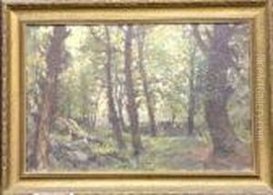 Forest Interior
