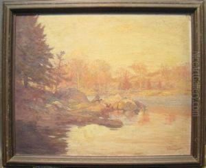 The Swimming Hole