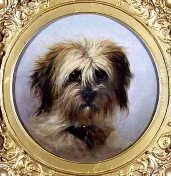 A Head of a Terrier - view 1
