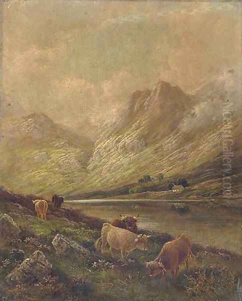 Highland cattle - view 1
