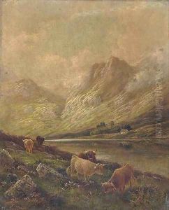 Highland cattle by Albert Dunnington