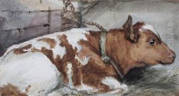 Cow Resting In A Byre - view 1