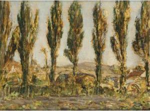Poplars In Jersey