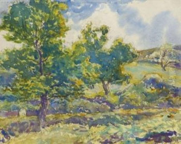 Paisaje Arbolado - view 1