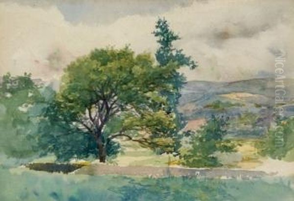Paisaje Con Arboles - view 1