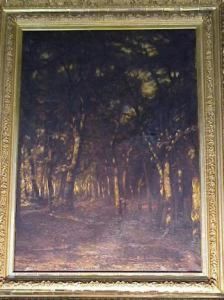 Forest Interior, Black Forest, Germany by Karl Rodeck