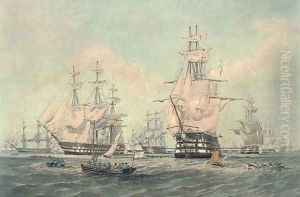 The fleet at anchor