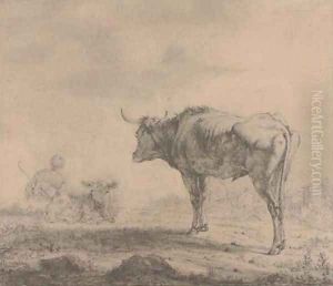 A bull looking over a resting drover