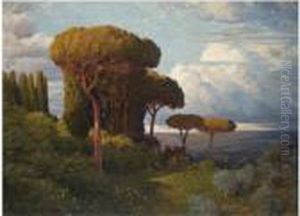 Pine Trees Near Rome by Max Roeder