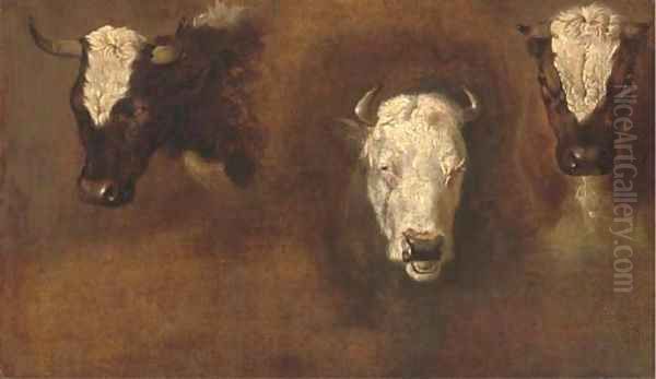 Three studies of bulls' heads - view 1