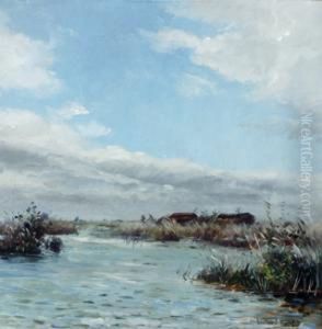View Of Water And Reeds