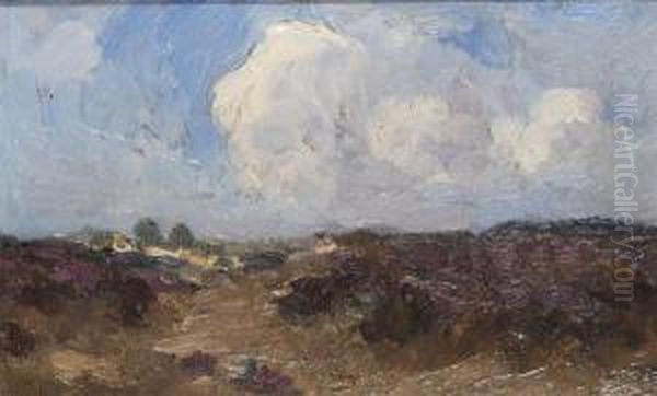 Heathland - view 1