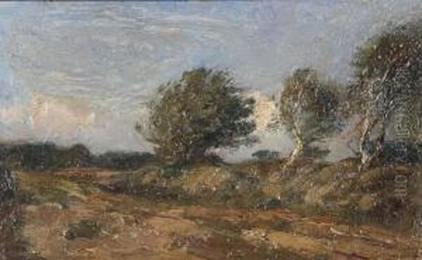 Heathland - view 1