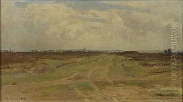 De Heide Te Drenthe. - view 1