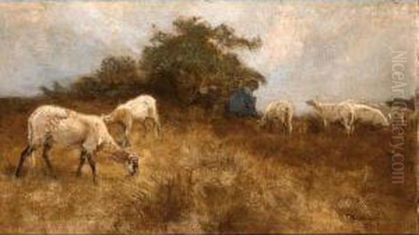A Shepherd With His Flock - view 1