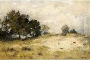 Sand Drift, Drenthe
