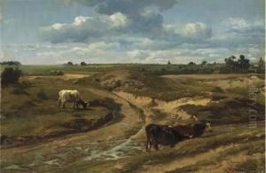 Cattle Grazing By A Sandy Track In Summer Near Genck