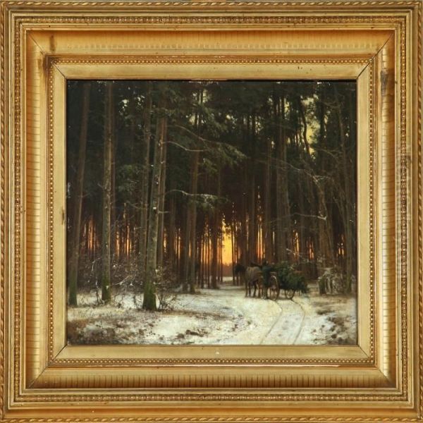 Forest Scene, Sunset - view 1