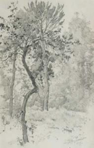 Arboles by Lluis Roig Ensenat