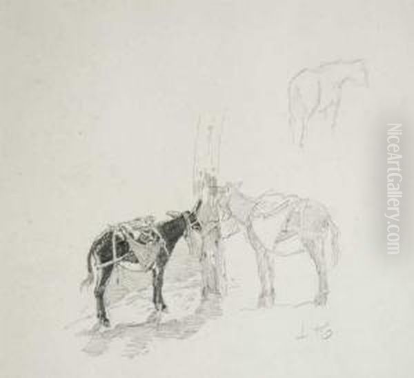 Asnos - view 1