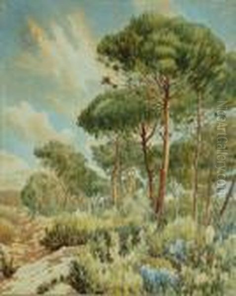 Paisaje Montana - view 1