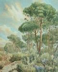 Arboleda.