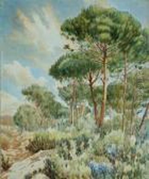 Bosque - view 1