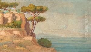 Coastal Landscape With Pine Trees