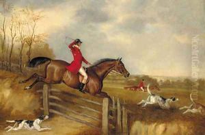 Over the gate by David of York Dalby