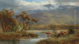 Cattle By The River Oil On 
Canvassigned 'c Rolando' Lower Right 59 X 102 Cm Provenance: 
Privatecollection Melbourne by Charles Rolando