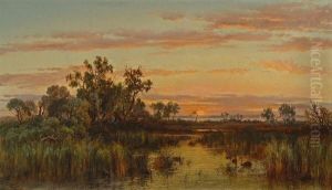 Haunt Of The Black Swans, Sunset, Gippsland River