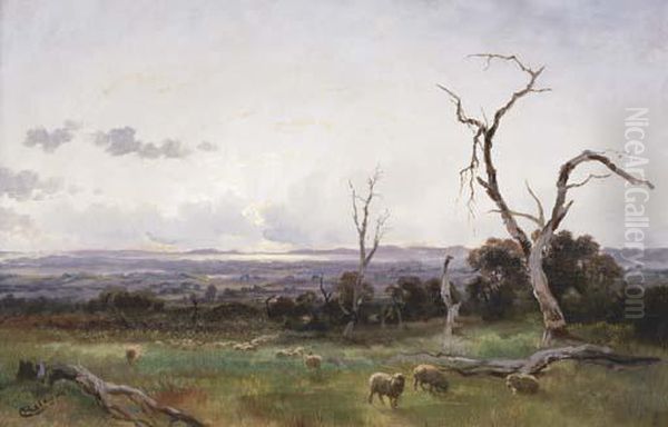 Morning Mist - view 1