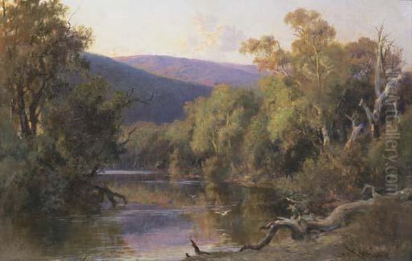 The Mitta Mitta River - view 1