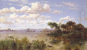 Swans On Lake by Charles Rolando