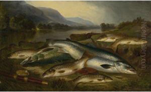 The Catch - view 1