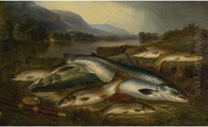 The Catch