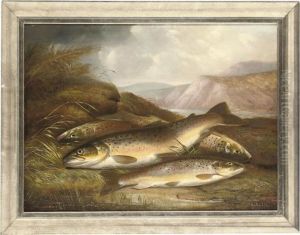 The Day's Catch