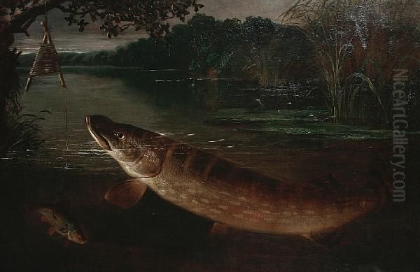 The Pike Lure - view 1