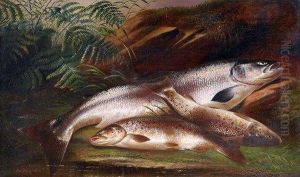Still Life Of Salmon And Brown Trout On A Riverbank