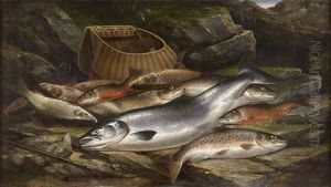 A Still Life Of Assorted Fish On A Riverbank