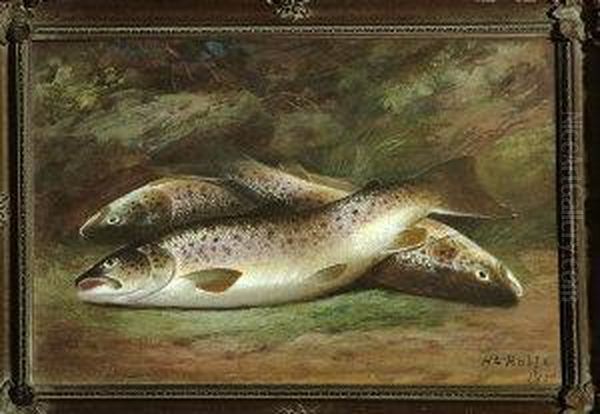 A Study Of Three Trout Taken From The River Test - view 1