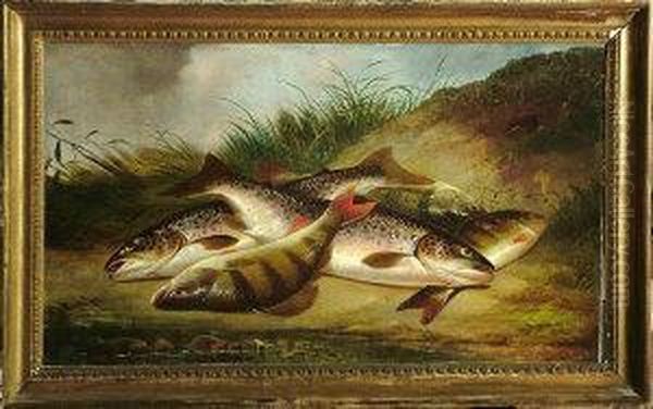 Trout And Perch On A Riverbank - view 1